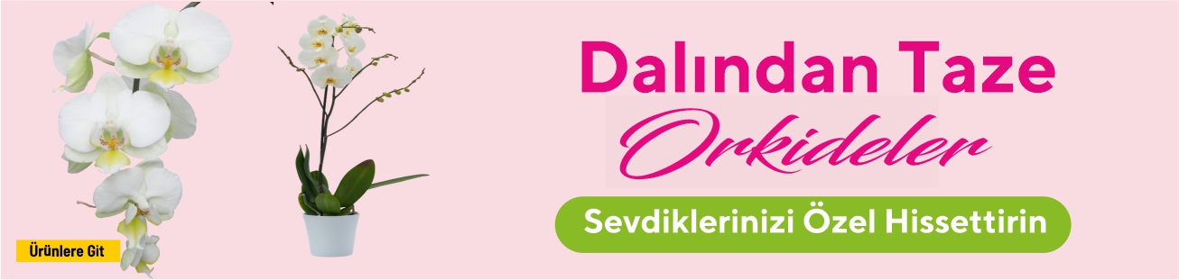 Gelsineve